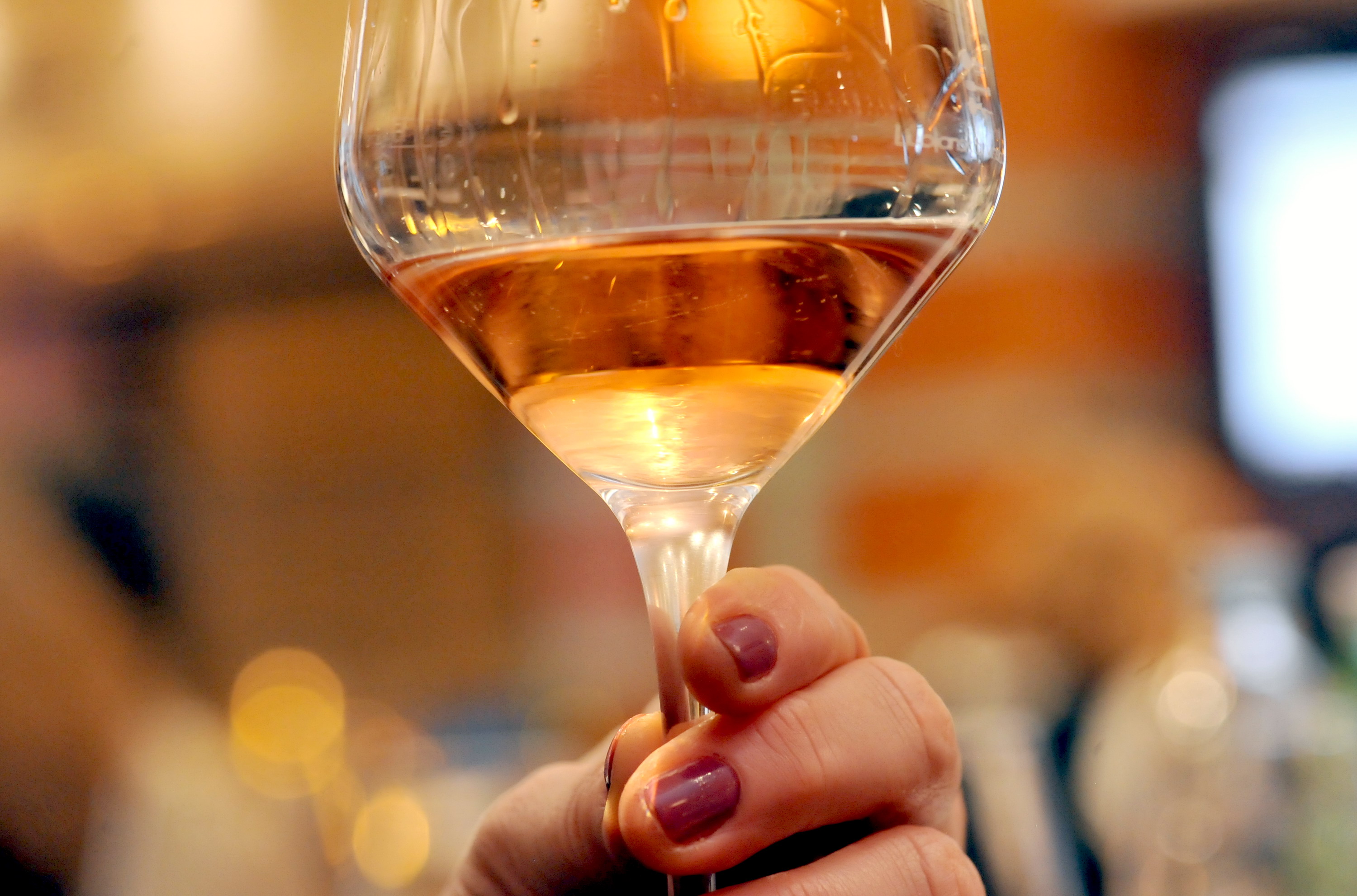 Na zagrebačkom Salonu ujedinili su se u različitosti ljubitelji pjenušavih vina i mjehurići od Šampanje do Hercegovine