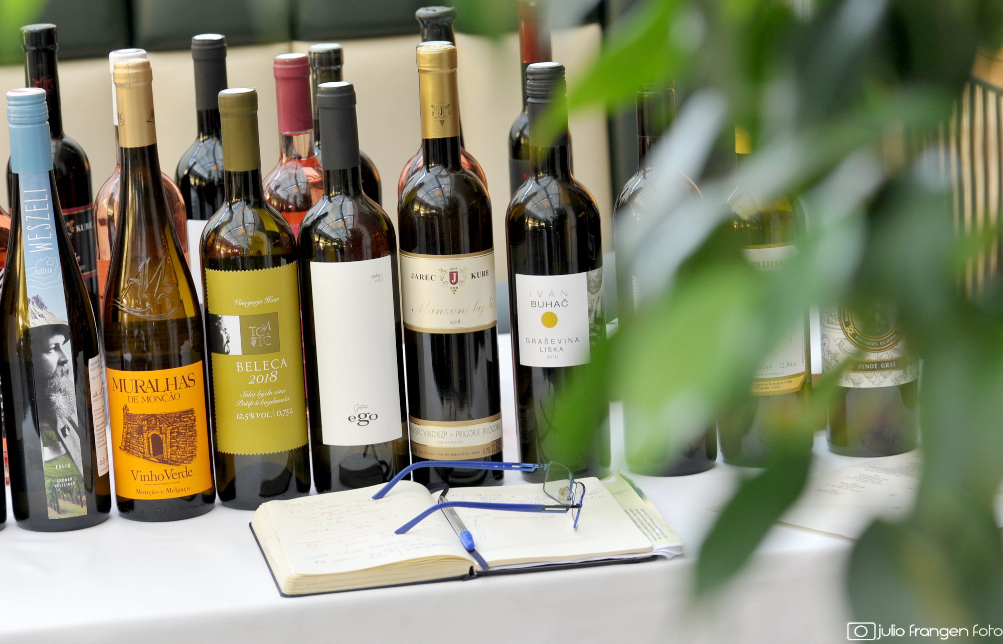 Vinske zvijezde 2019 #4: izvrstan izbor bijelih vina!