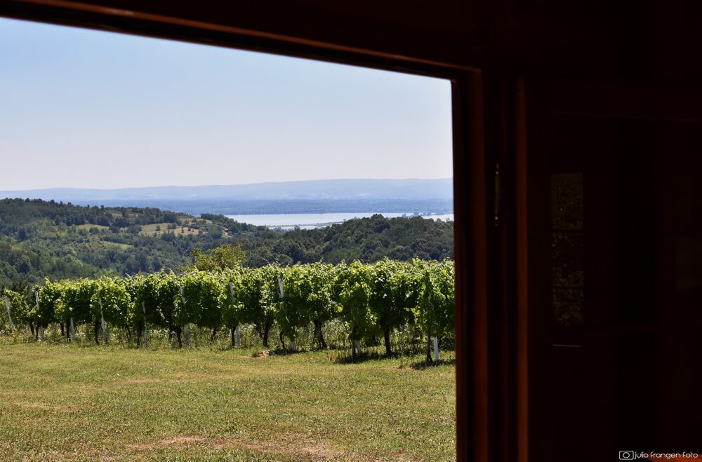 Udahni, okusi, doživi vina Brodsko-posavske županije!