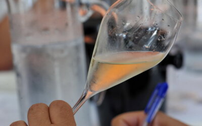Vinske zvijezde 2020 #4 Split – šampanjske note pjenušca Grabovac oduševile komisiju!