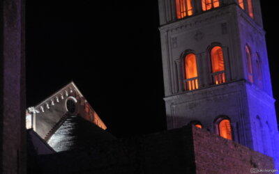 Četvrti Zadar Wine festival održat će se 23.i 24. travnja 2021.!