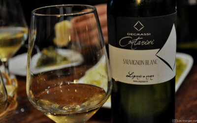 Degrassijev Sauvignon blanc 2017 elegantno je i osebujno vino!