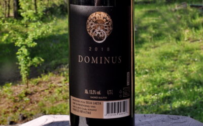 Dominus 2018 -konavoski cuvée pravo je južnjačko vino!