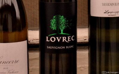 Sauvignon blanc Lovrec 2017 – s francuskim štihom!