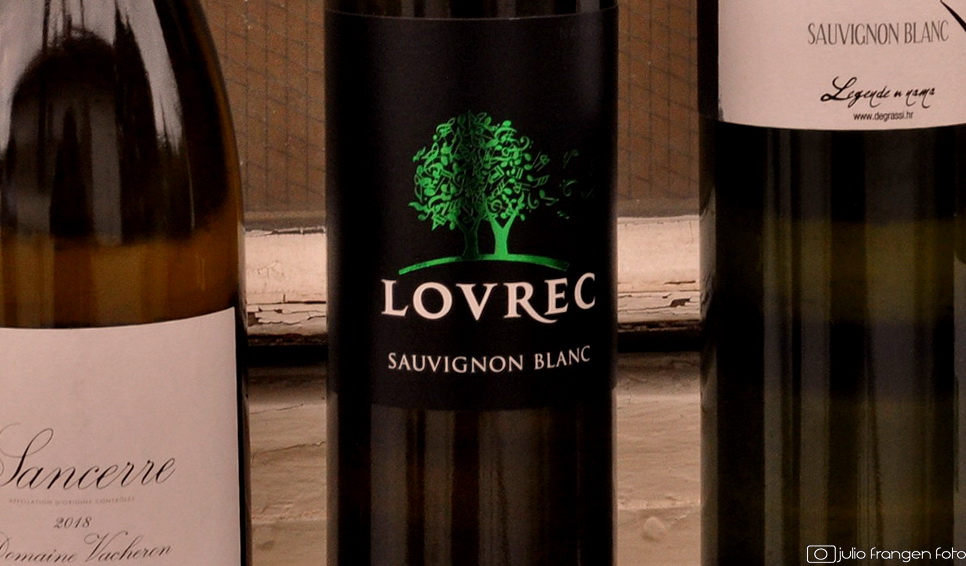Sauvignon blanc Lovrec 2017 – s francuskim štihom!
