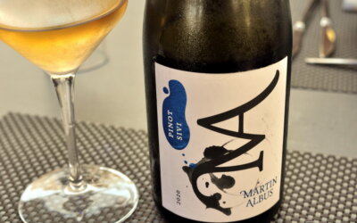 Sivi Pinot Martin Albus 2020 – egzotičan i mineralan!