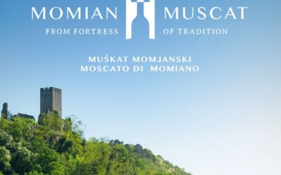 18. hrvatsko vino sa zaštićenom oznakom izvornosti u EU – Muškat momjanski!