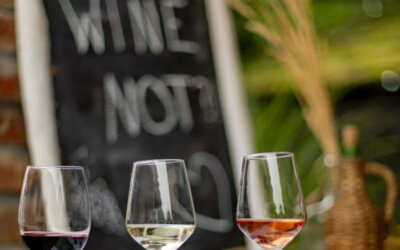 Novi vinski festival – Slavonija i Podravina wine not!?