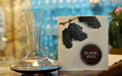 Vinska radionica #winewednesday: PLAVAC MALI – GUESS THE TERROIR!