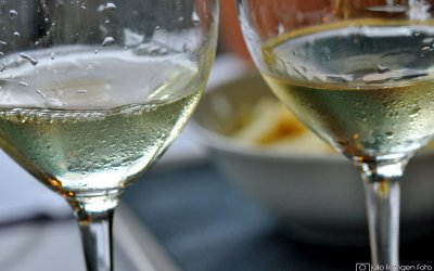 “White Blend”, ocjenjivanje hrvatskih bijelih cuvéea!