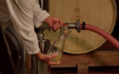 U Erdutskim vinogradima otvorena “Ukroćena goropadnica”!