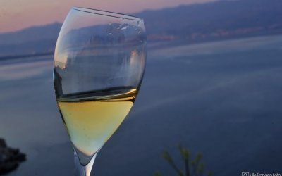Blagdan vina “Dani vina Vrbnik 2022” – bogatiji no ikad!