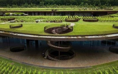 Objavljeni rezultati izbora najboljih svjetskih vinograda 2022!