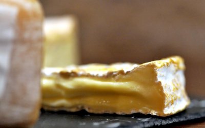 World Cheese Awards 2022 – Super zlato za Siranu Gligora!