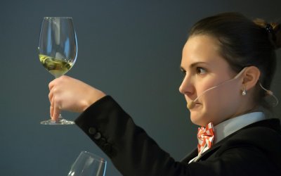 Iz udruženja Kvarner Wines najavili sommelierske tečajeve u Vinskoj kući Pavlomir!