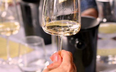 Vinske zvijezde 2023 #2 – Uskrs uz bijela vina Dalmacije!