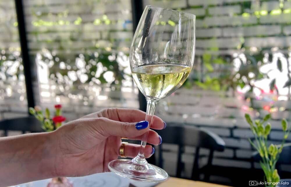 Vinske zvijezde 2023 #4 – 5 najboljih TOP 5 vina za ljeto!
