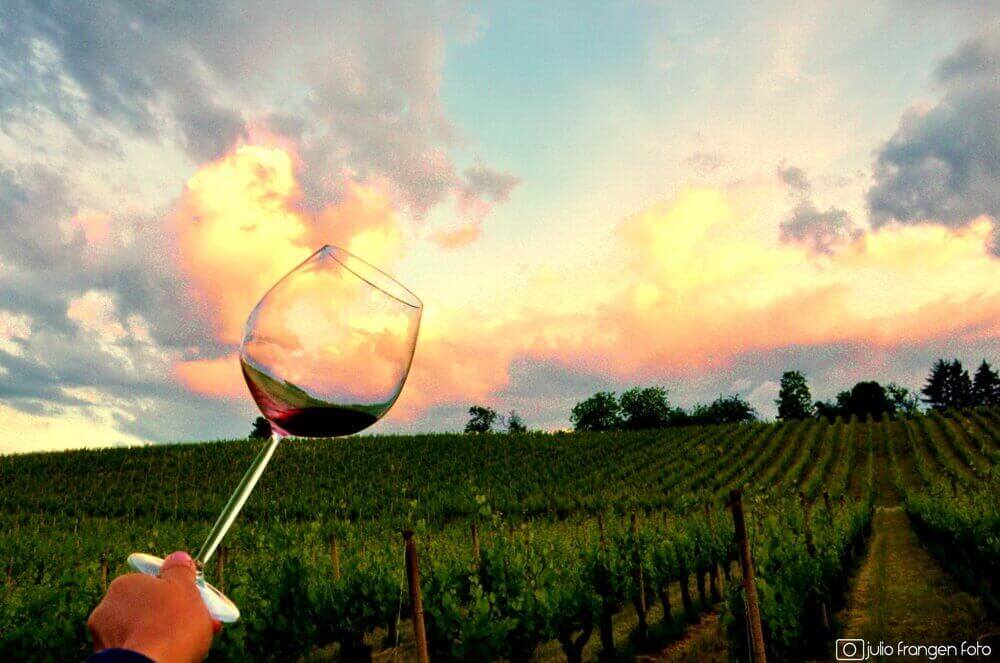 5. Zalazak u vinogradu u Brodskom Stupniku uz vrhunska vina i jazz evergrine!