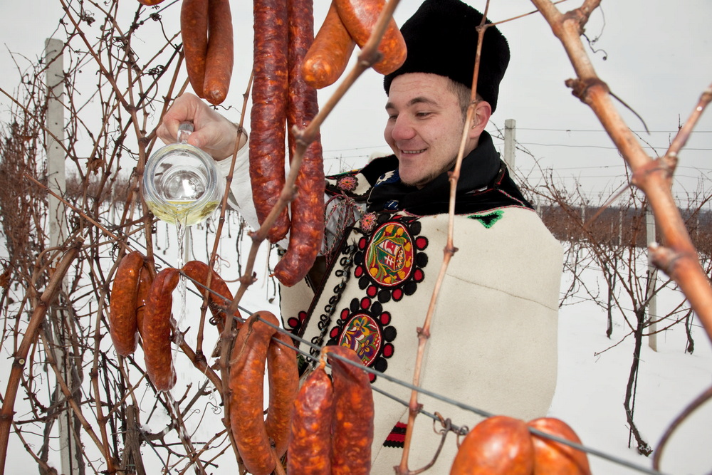 Proslavite Vinkovo u Slavoniji i Baranji!