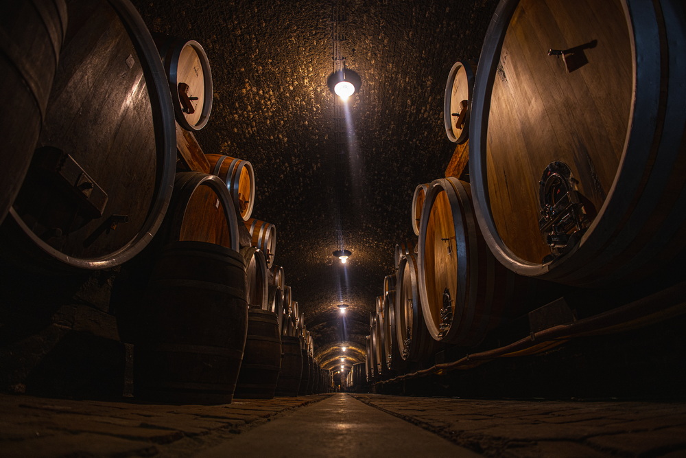 Invive preuzima Iločke podrume!