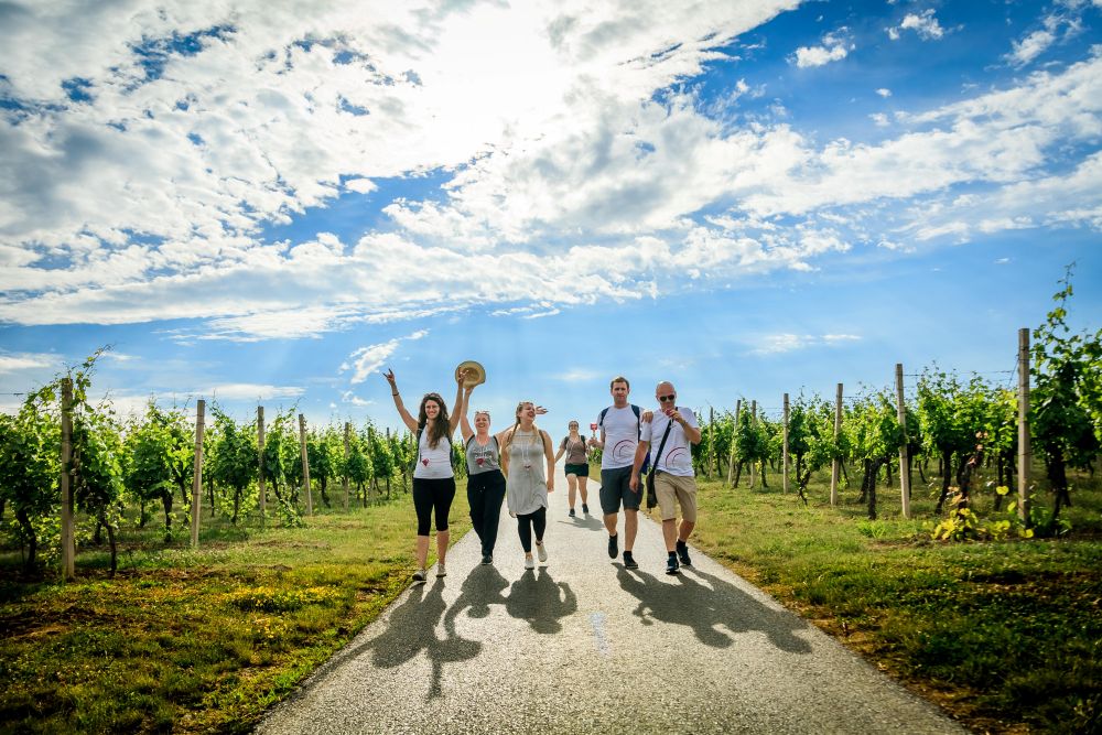 7. Vinski mjesec Osječko-baranjske županije!