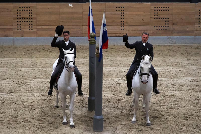 Kras i Lipica – elegancija prirode, konja i vrhunske gastronomije nadomak Zagreba!