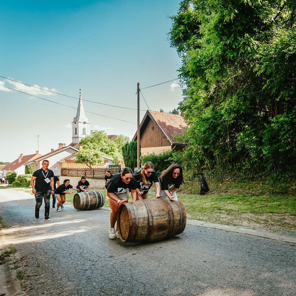 Vinatlon 2026 – vino i glazba u Baranji!