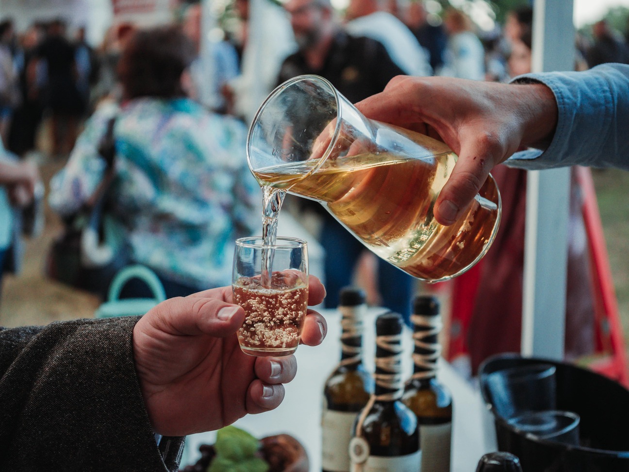 31. Baranjski bećarac – pjesma, vino i tradicija u srcu Baranje!