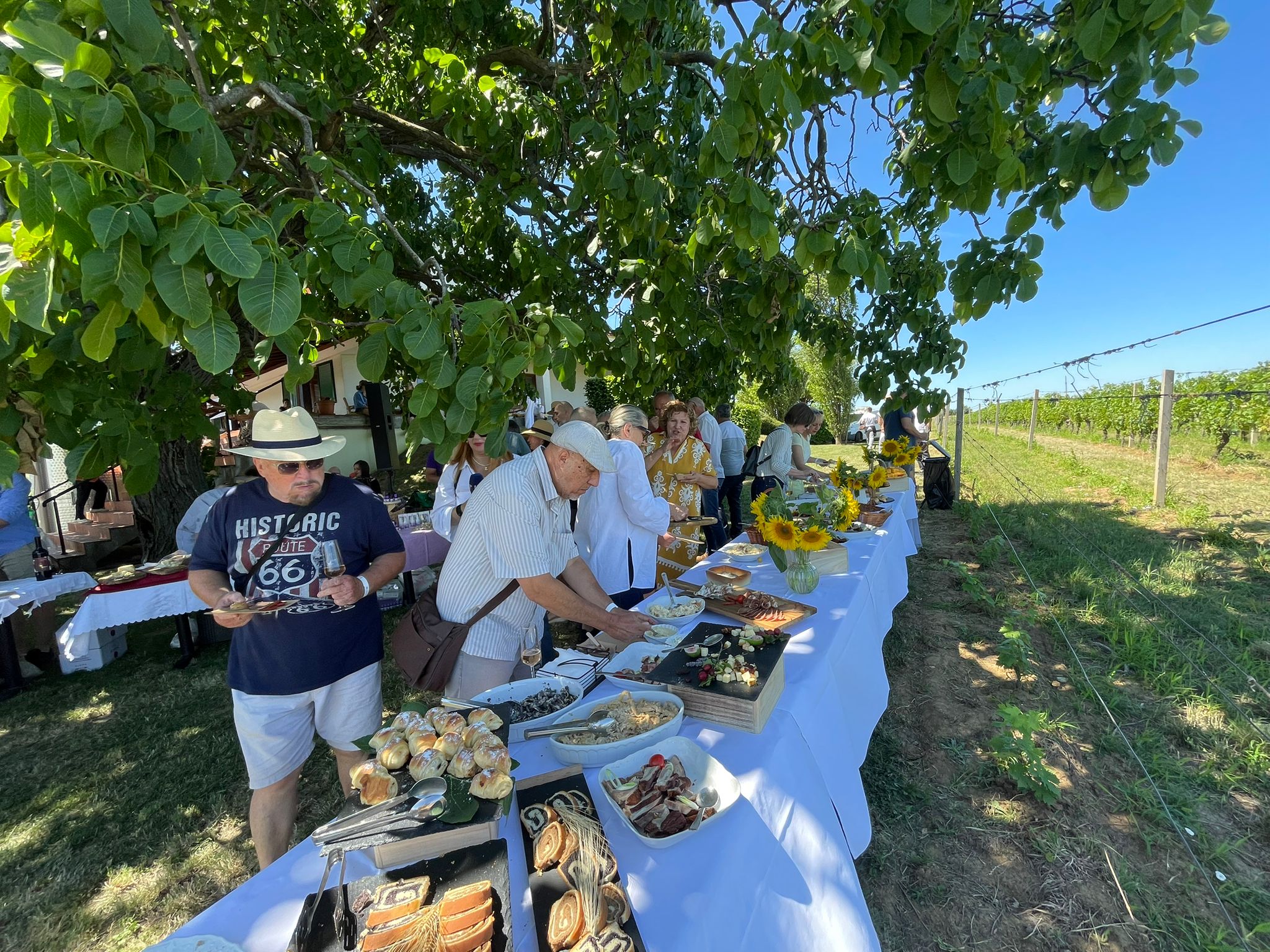 Elegancija prirode, vrhunska vina i srijemski okusi obilježili 7. Pjenušavi doručak u vinogradu!