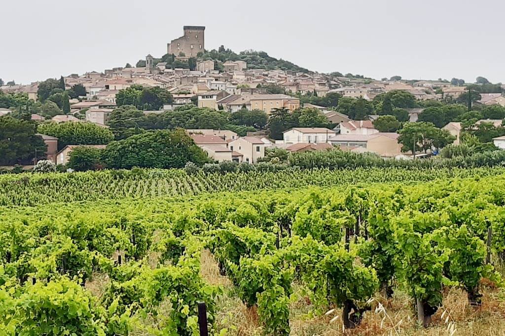 Vinska prijevara u Francuskoj: lažni Châteauneuf-du-Pape i zapljena imovine vrijedne 1,8 milijuna eura!
